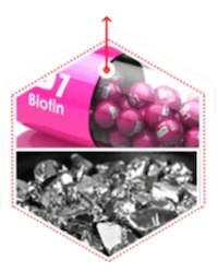 Biotin & Chromium