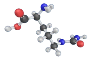 CircO2 Ingredient -L-Citrulline