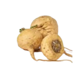 Maca Root